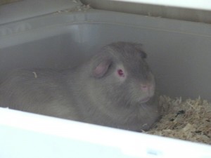 P1100473